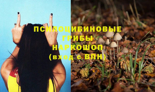 молекула духа Балабаново
