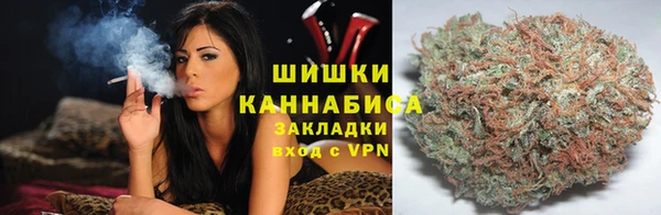 трава Саяногорск